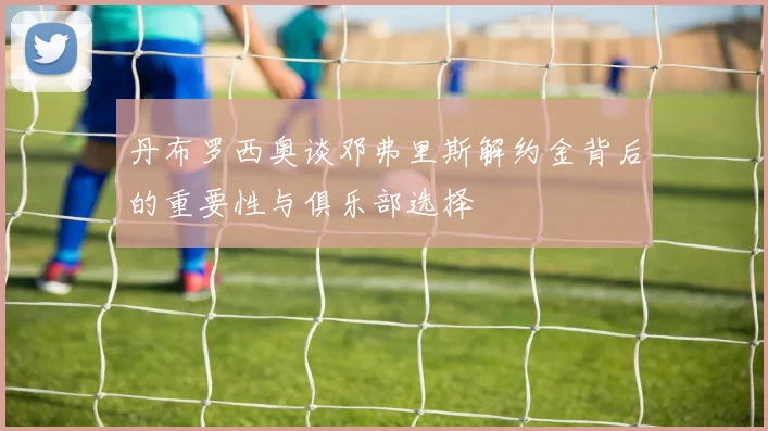 丹布罗西奥谈邓弗里斯解约金背后的重要性与俱乐部选择