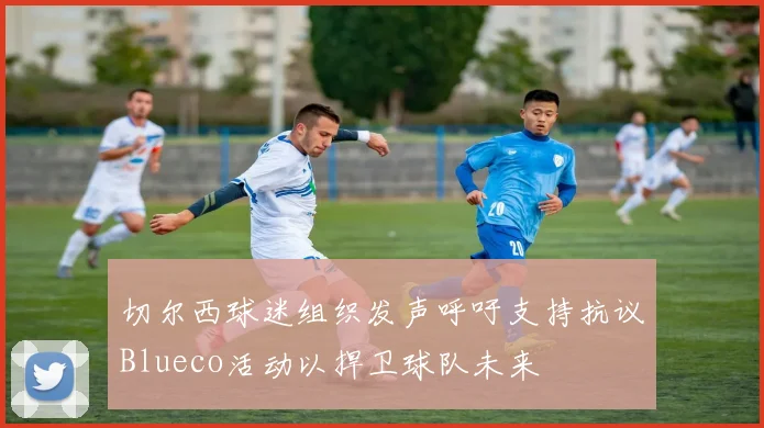 切尔西球迷组织发声呼吁支持抗议Blueco活动以捍卫球队未来